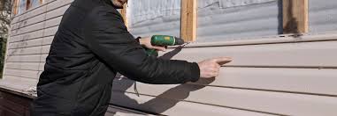 Best Insulated Siding Installation  in Noblesville, IN